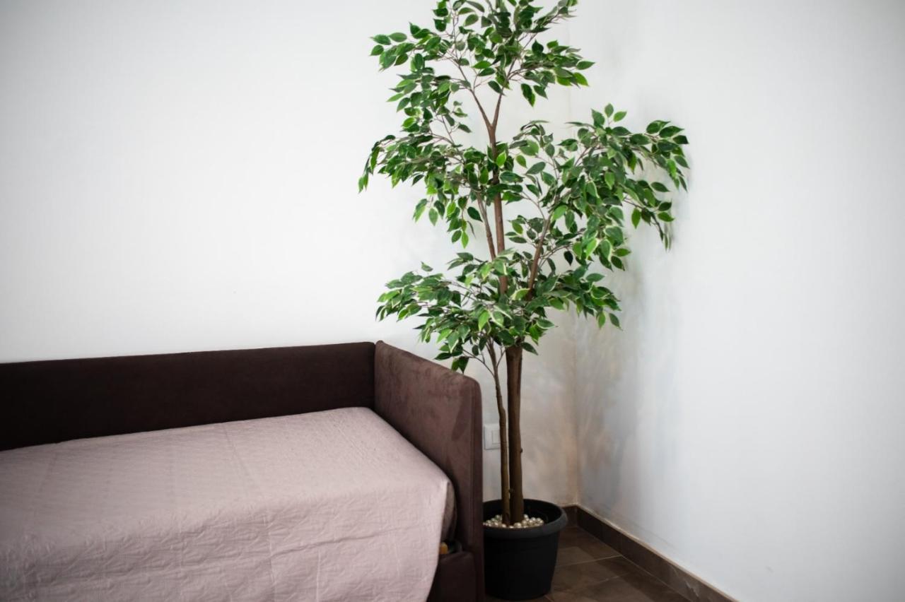 טרמולי Suebi Rooms מראה חיצוני תמונה